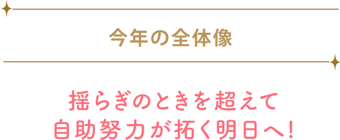 今年の全体像